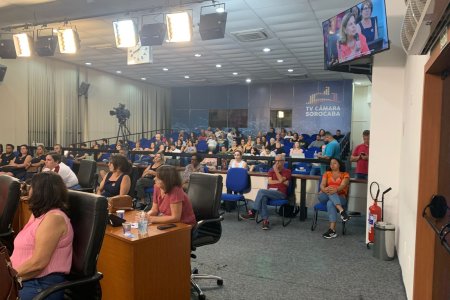 Audiência Publica - 02/12/2024